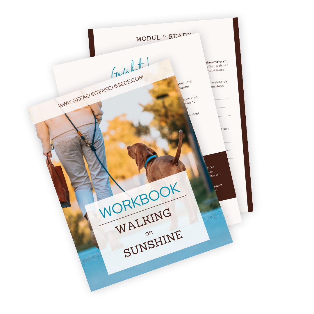 WOS-Mockup-Workbooks