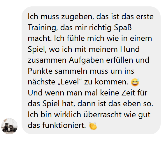 Allgemeines Feedback