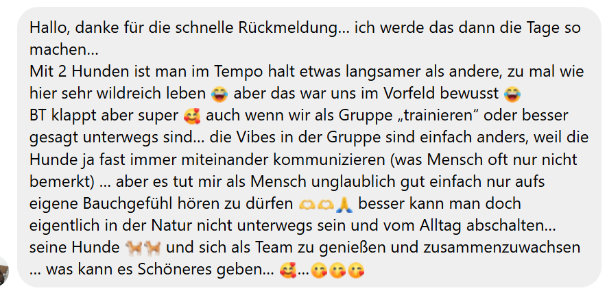 Allgemeines Feedback