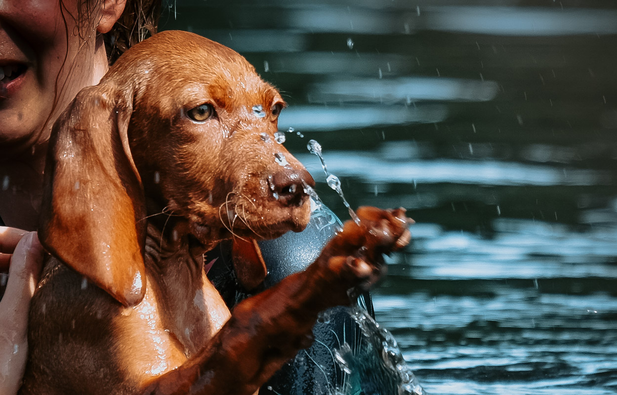 Anna mit Samu im See