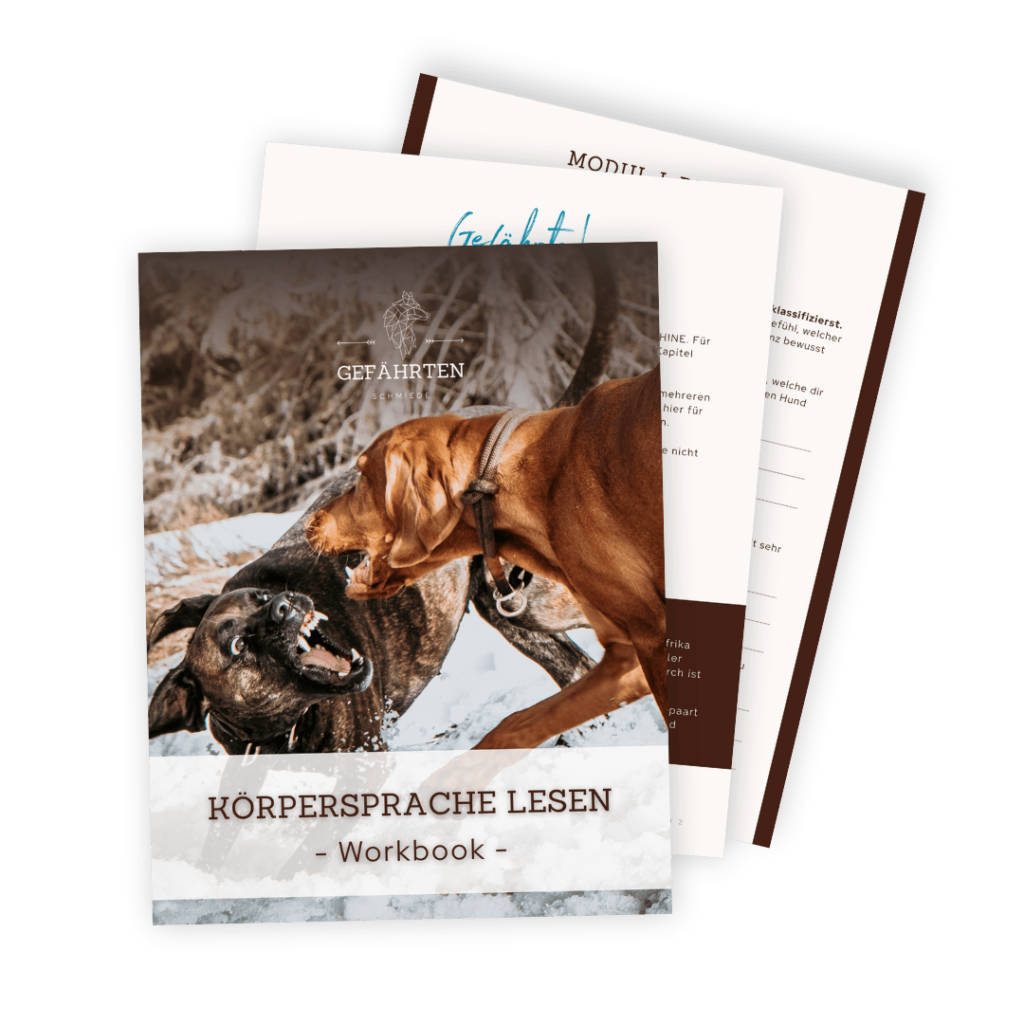 Hunde Körpersprache Workbook