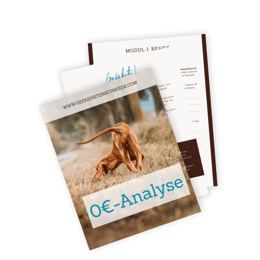 BT Analyse Mockup