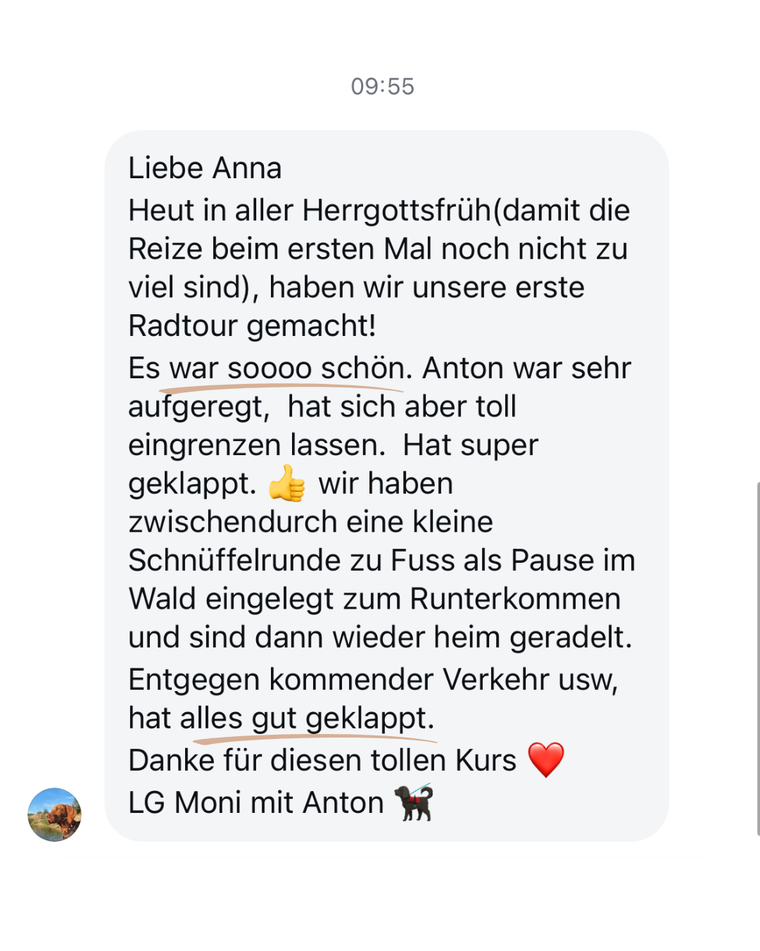 Bike Alike Testimonial