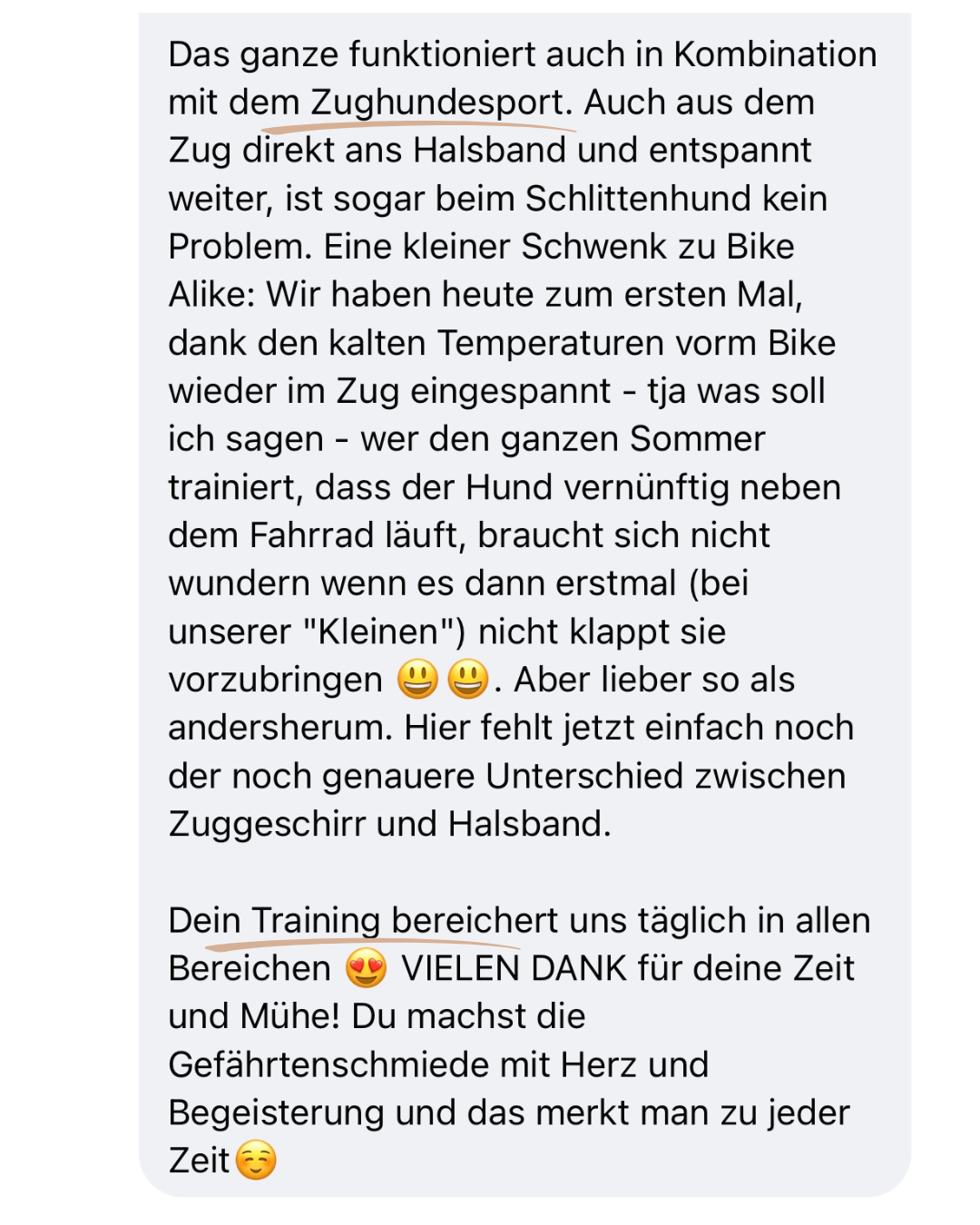 Bike Alike Testimonial