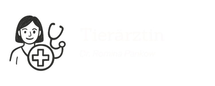 Tierarzt Training Icon