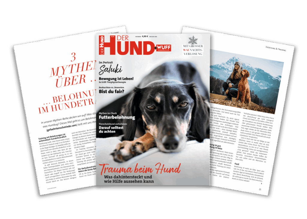 DER HUND Magazin Mockup