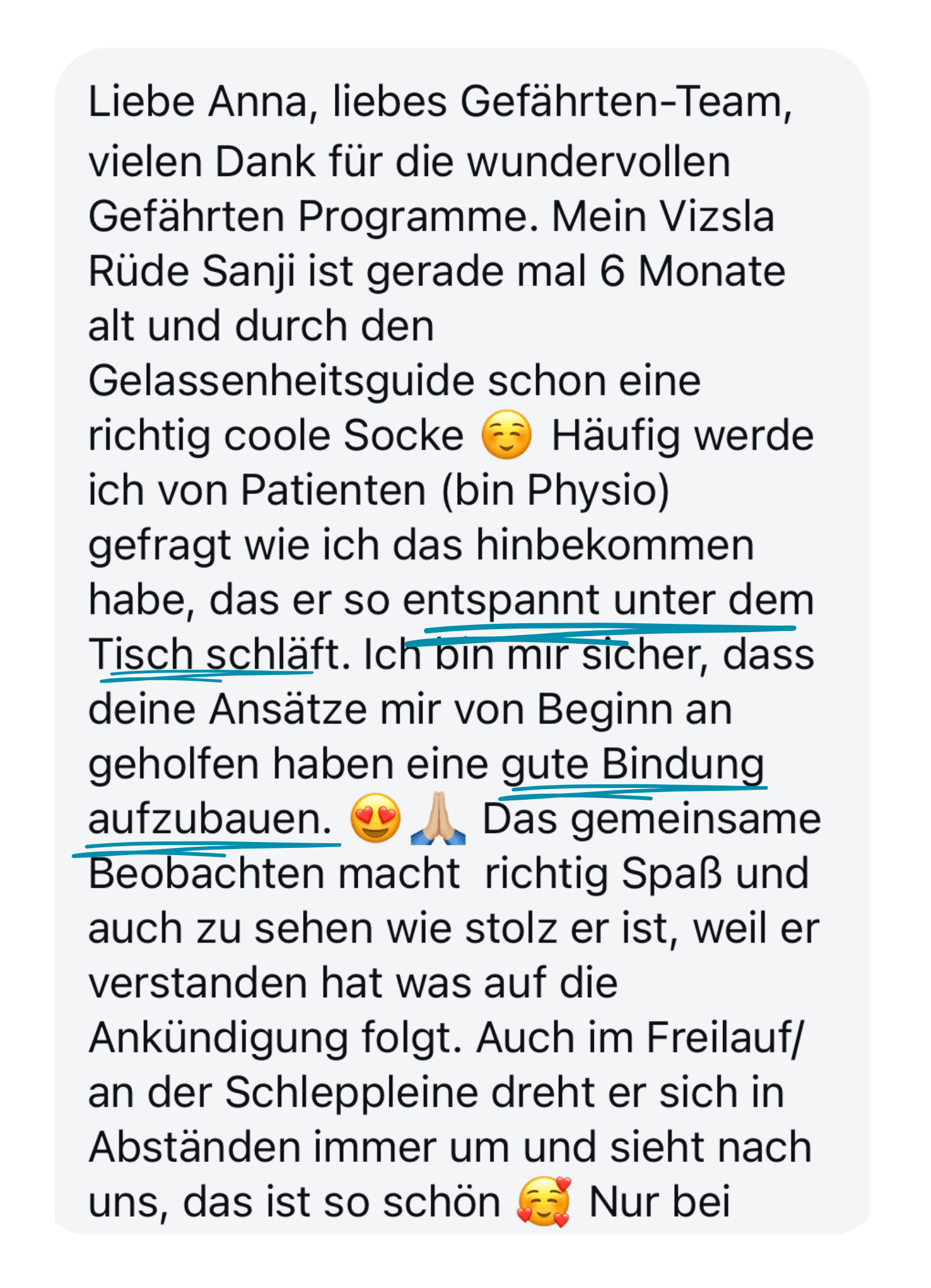 Kundenfeedback