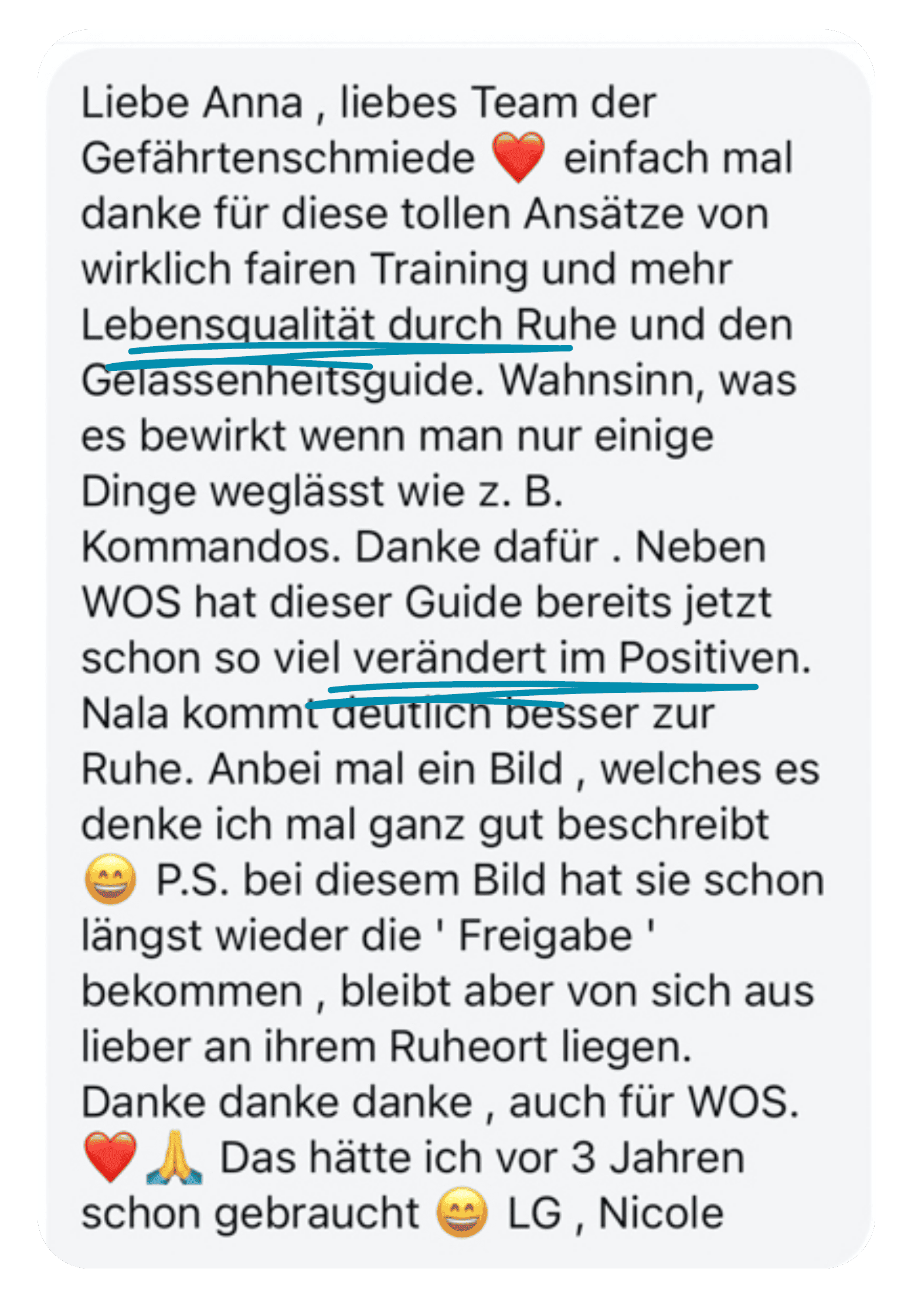 Kundenfeedback