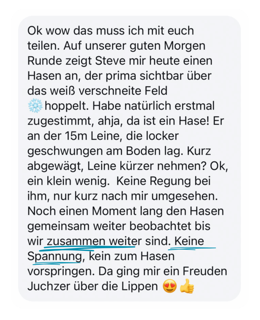 Kundenfeedback