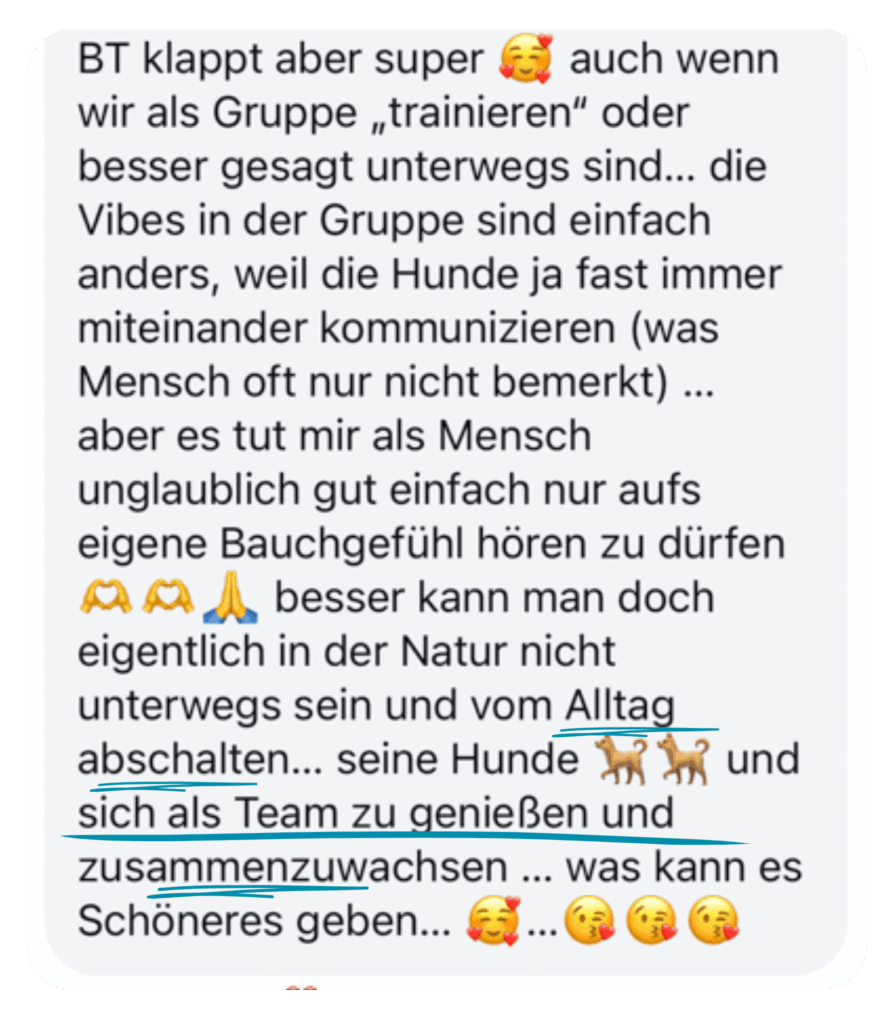 Kundenfeedback