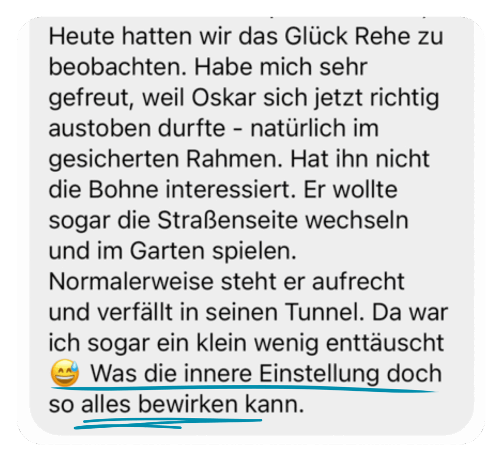 Kundenfeedback