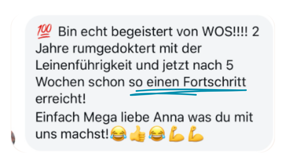Kundenfeedback