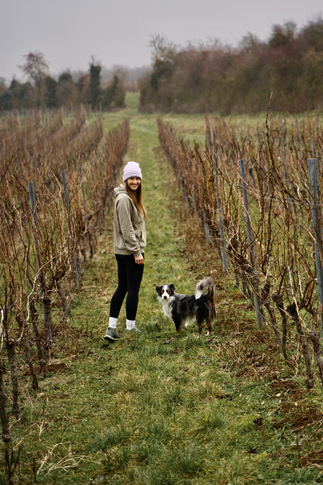 Franzi aus dem Gefährteschmieden-Team