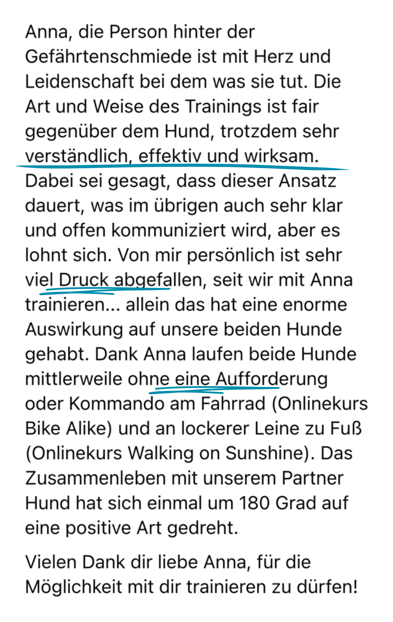 Kundenfeedback