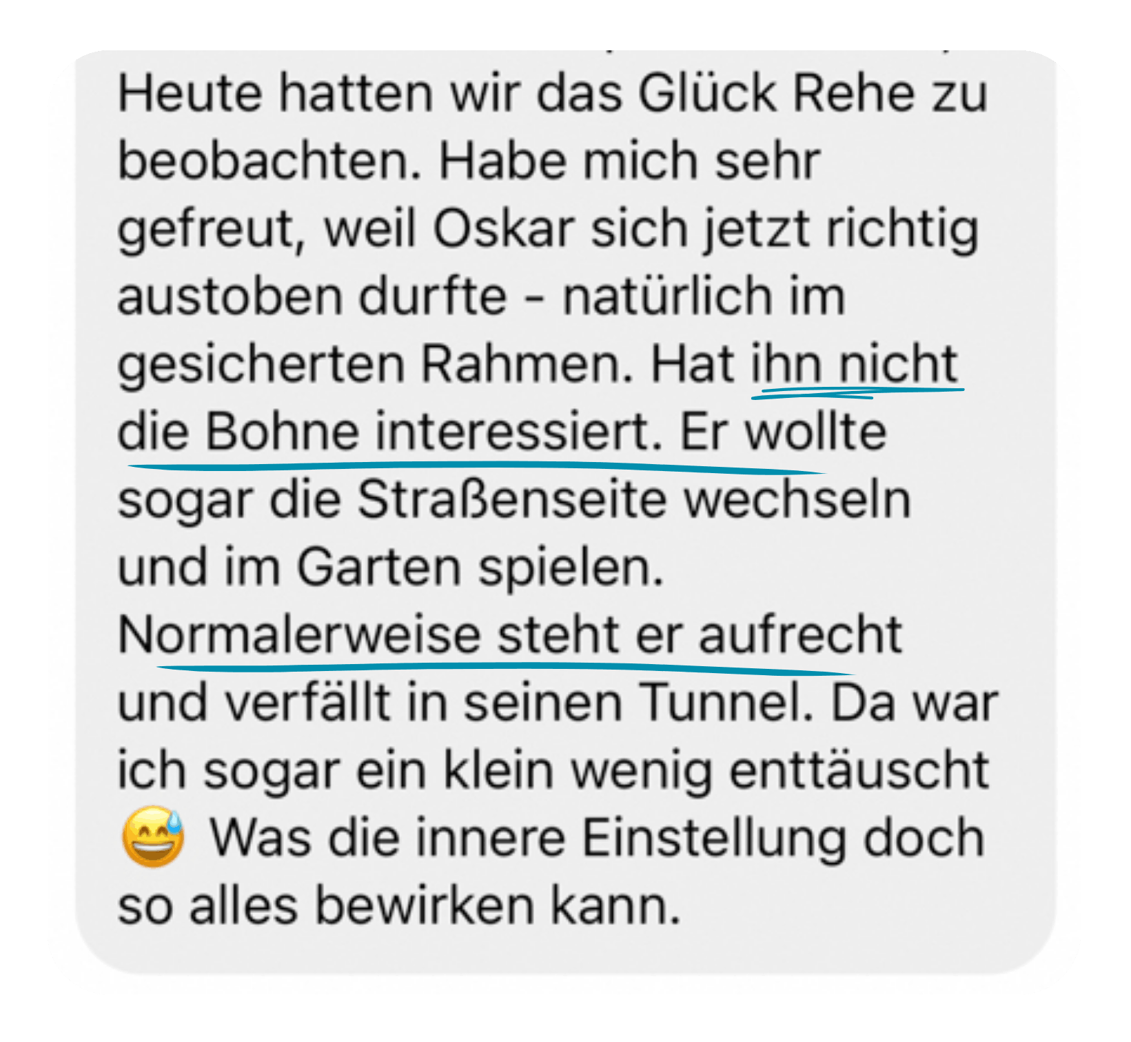 Kundenfeedback