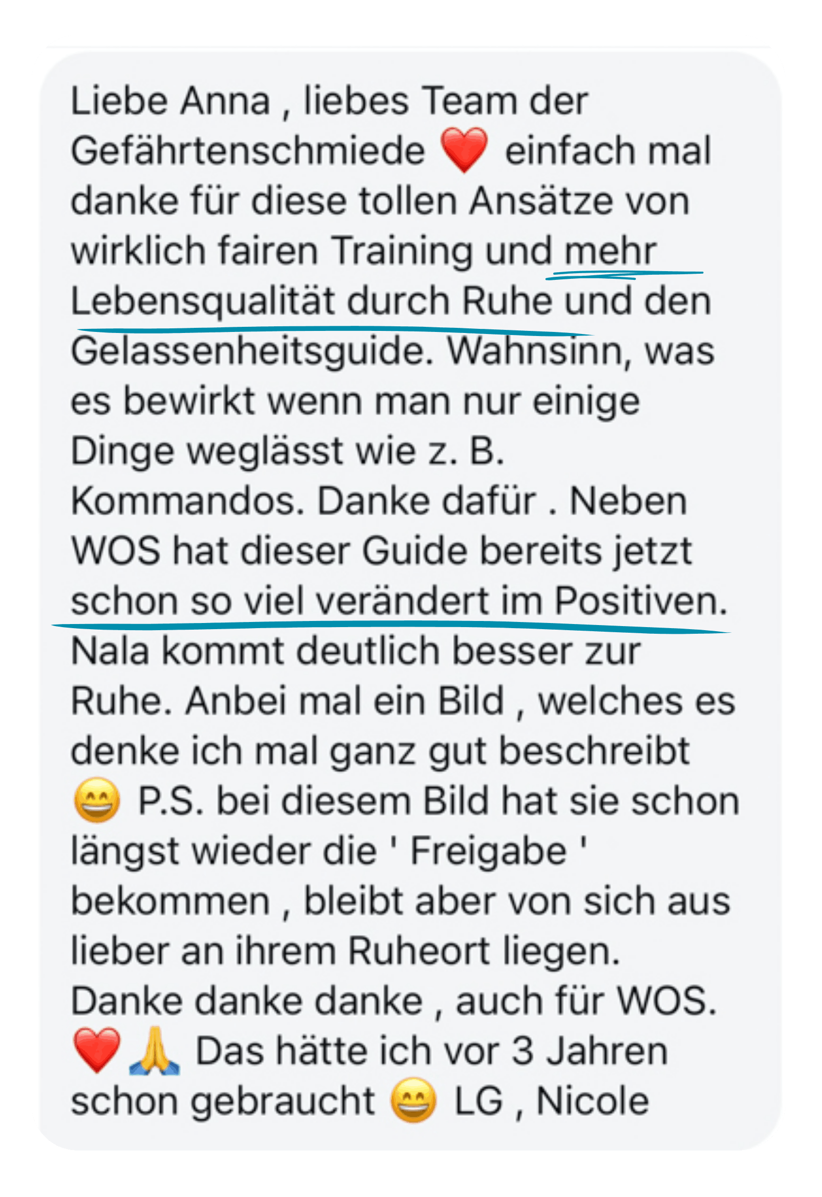 Kundenfeedback