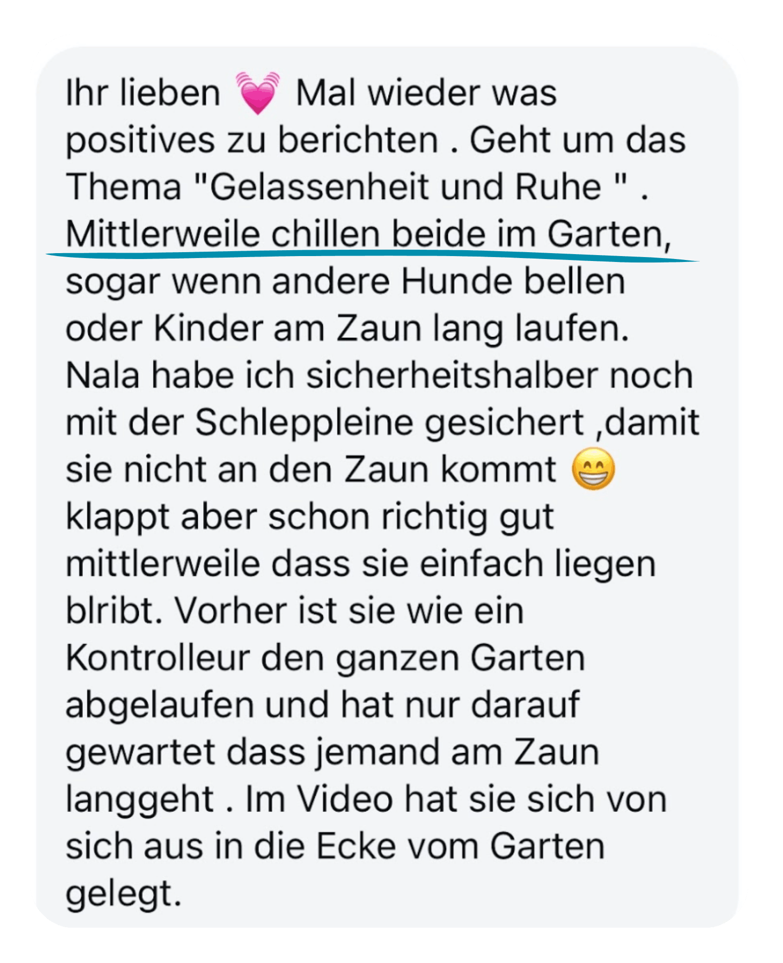 Kundenfeedback