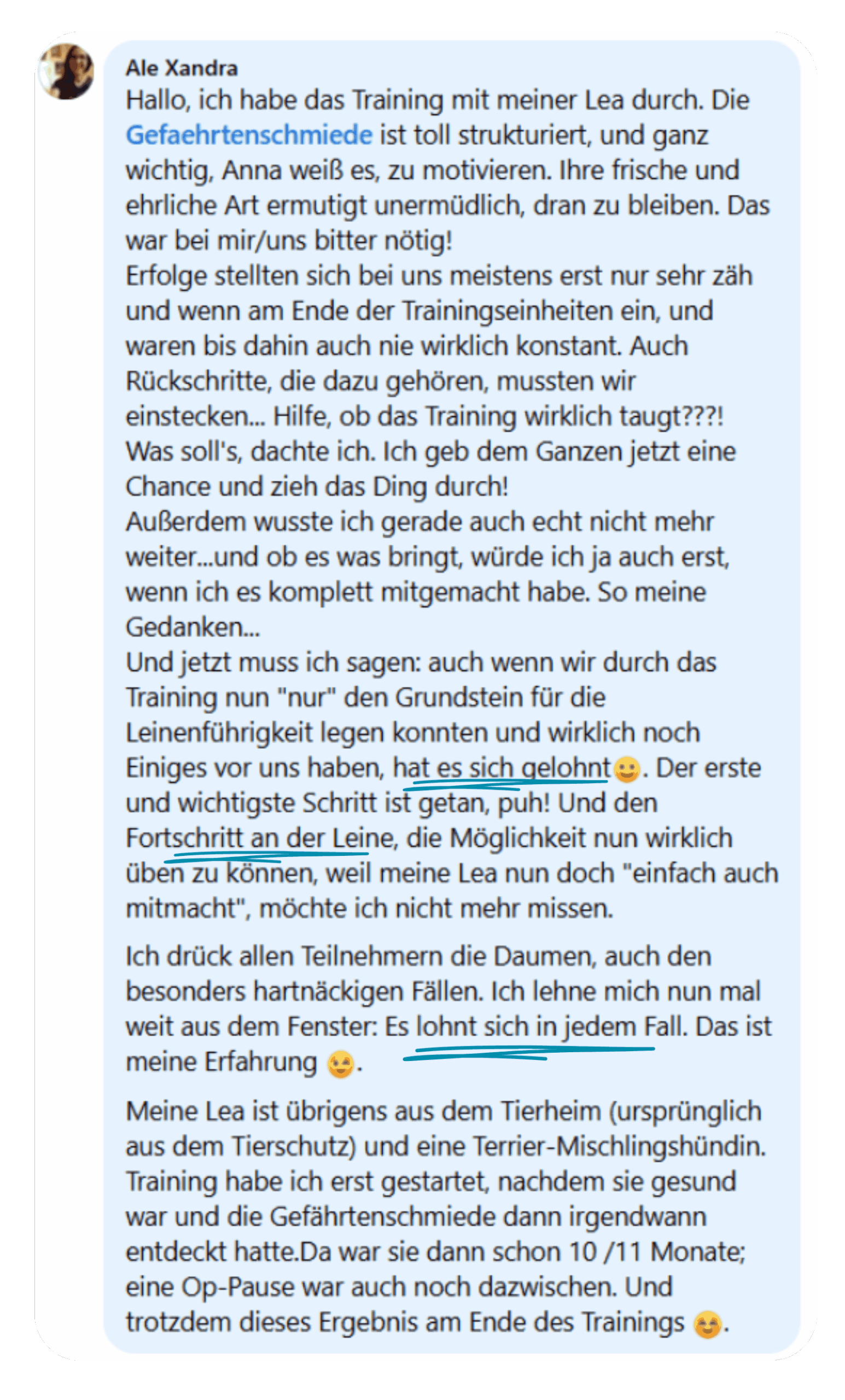 Kundenfeedback