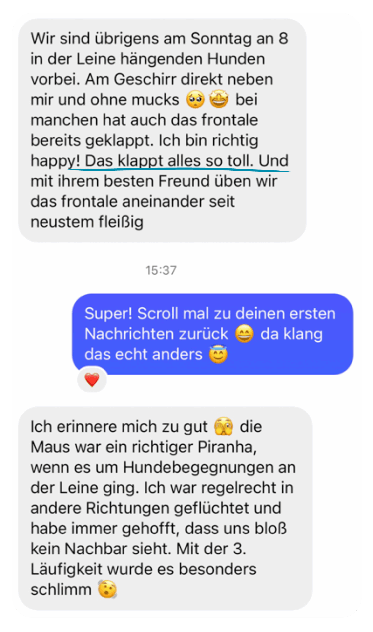 Kundenfeedback