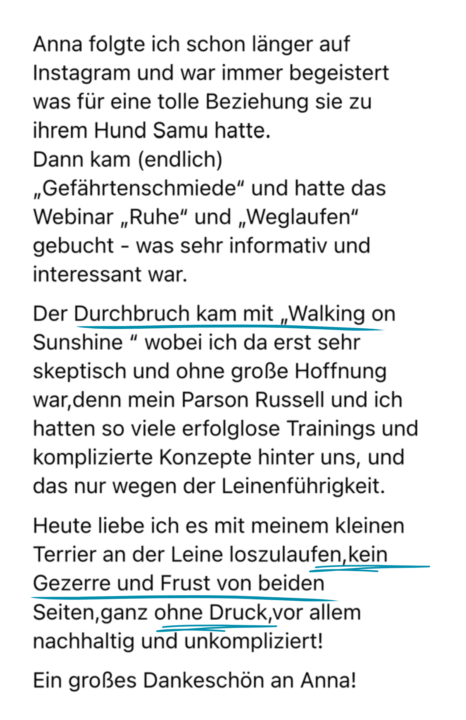 Kundenfeedback