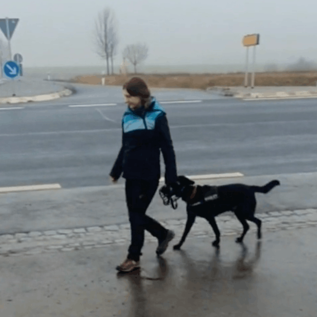 Kundenfeedback Vorschaubild