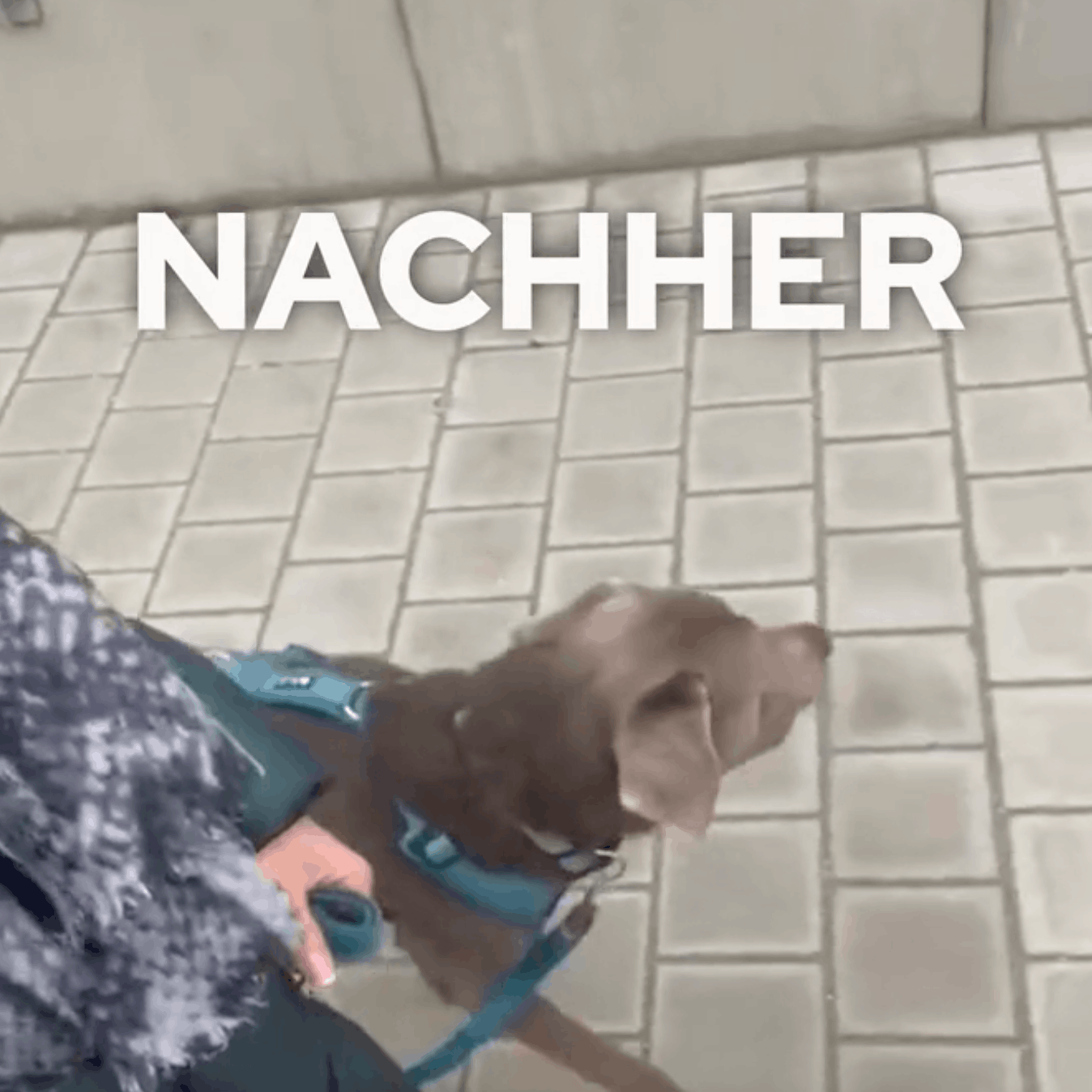 Kundenfeedback Vorschaubild