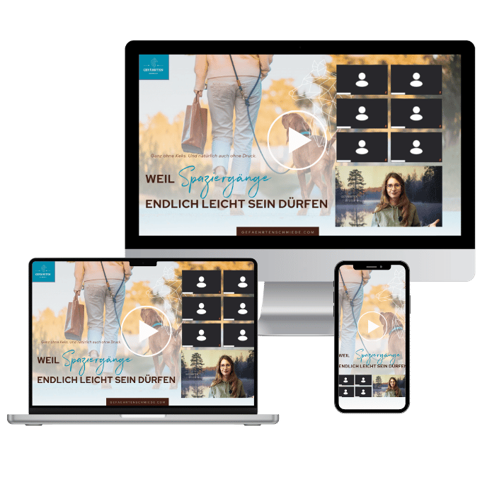 Mockup Sommerwebinar