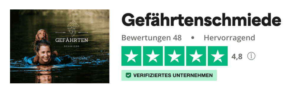 Trustpilot Bewertungssiegel